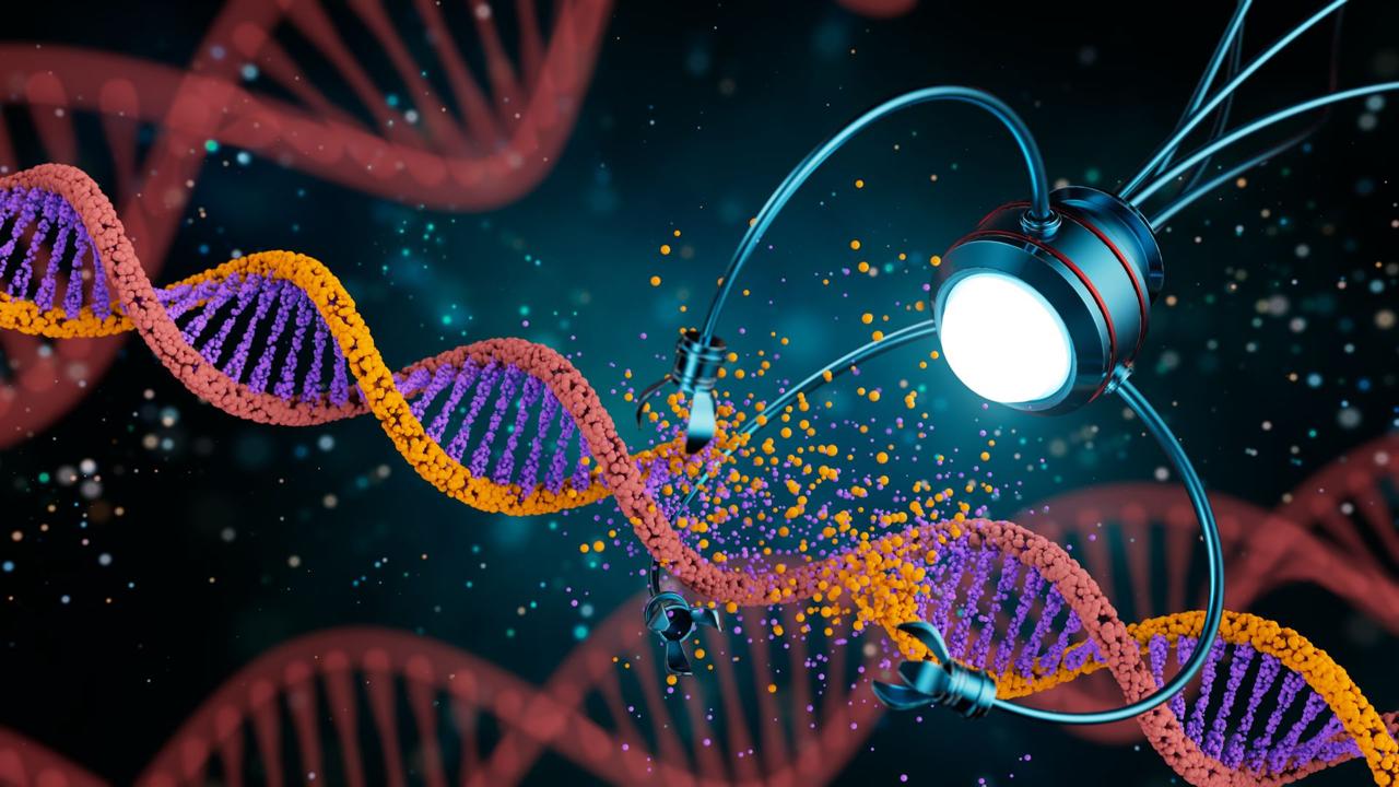 Industrial nanobiotechnologies for pharmaceuticals
