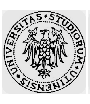 University of Udine logo