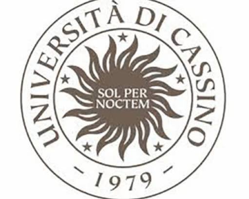 University of Cassino and Southern Lazio (UNICAS))
