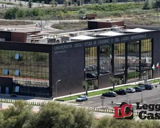 University of Cassino and Southern Lazio (UNICAS))